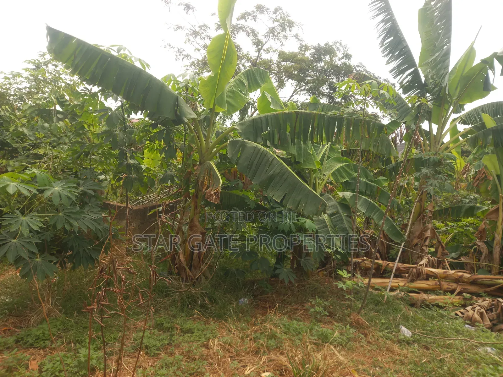 Plot for Sale at Pakyi No 2. ( Near the Main Highway)