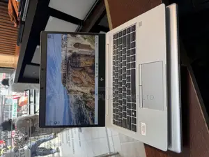 Laptop HP EliteBook 745 G6 8GB AMD Ryzen 5 SSD 256GB