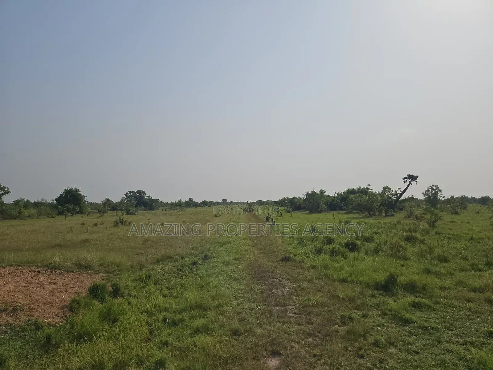 300 Acres Land East Legon Hills Regimanuel Real Estate Katamanso