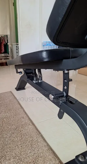 Bench - Fitness, Exercise. Raynor. Top Quality