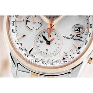 Citizen Fc0014-54a Eco-drive Radio Controlled Watch.