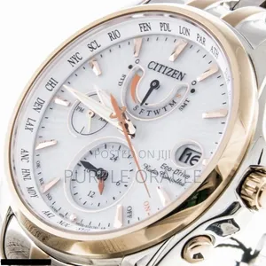 Citizen Fc0014-54a Eco-drive Radio Controlled Watch.
