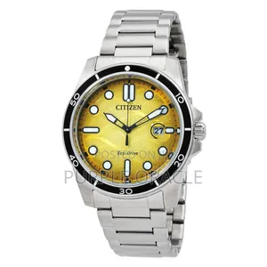 Citizen Eco-drive Marine 1810 Steel Solo Time Men's Watch Aw1816-89x
.