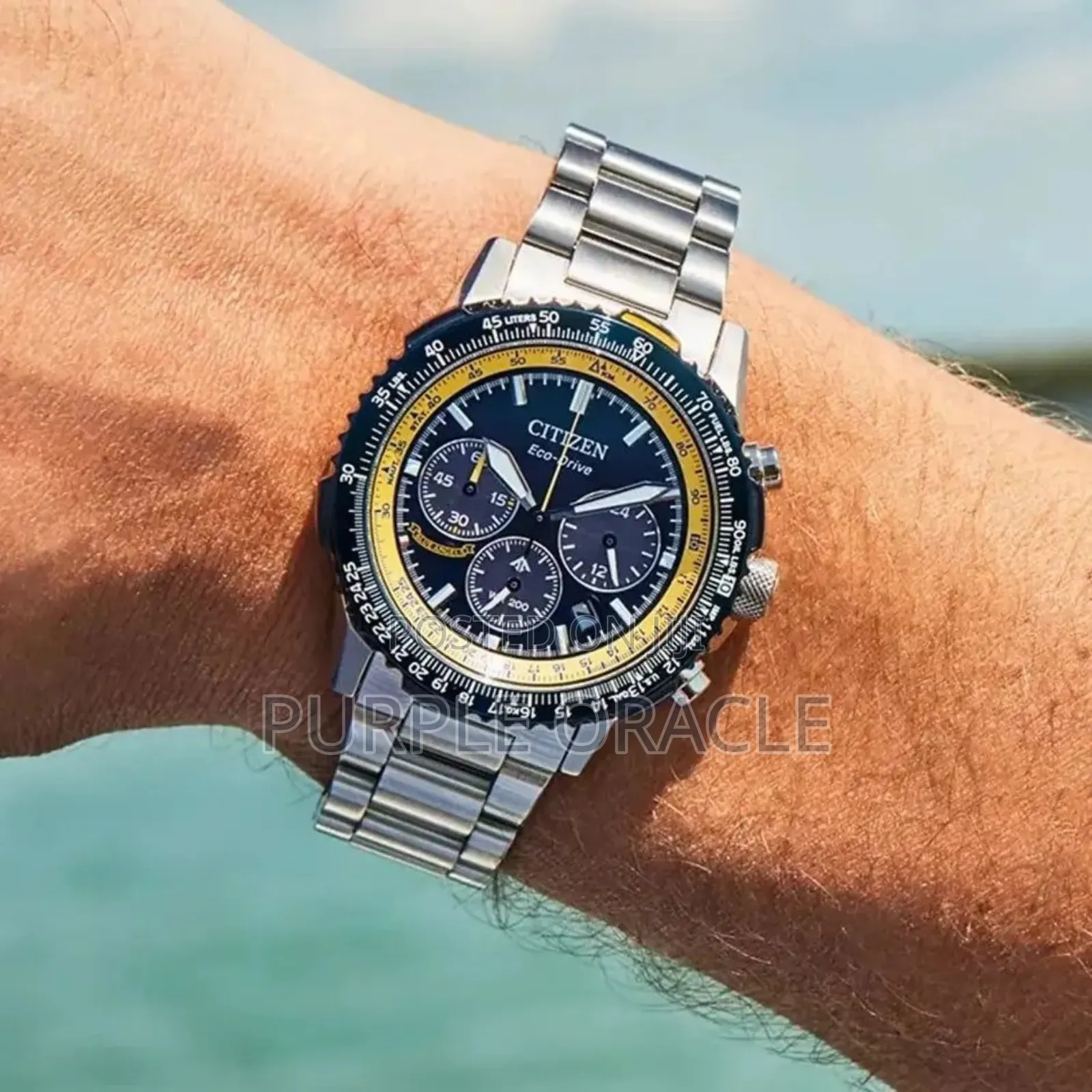 Citizen Ca4667-53l Promaster Eco-drive Chronograph Mens Watch