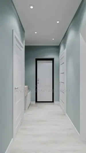 Experience 3d Painting and General Painting Service