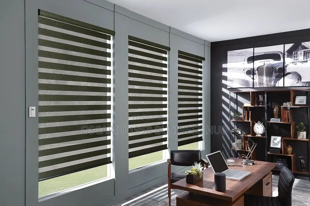Triumph Thrive Window Zebra Blind Curtains