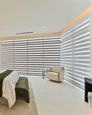 Prosperity Partners Window Zebra Curtain Blinds