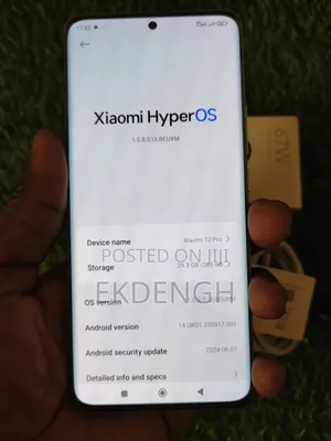 Xiaomi 12 Pro 256 GB Silver