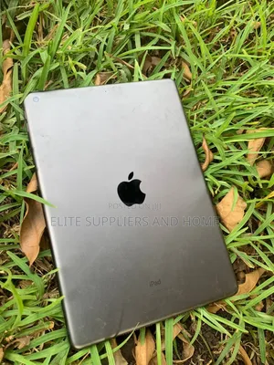 Apple iPad (2022) 32 GB Gray