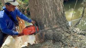 Garden Services