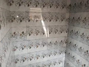 Good Finishing Tiling Master