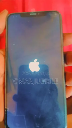 Apple iPhone XS Max 256 GB Gray