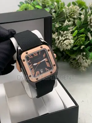 Cartier Santos Dumont Watch