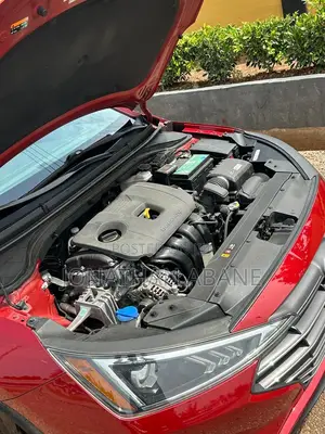 Hyundai Elantra 2019 Burgundy