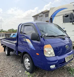 Kia Combi 2010 Blue