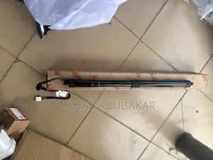 Toyota Rav4 2021 Boot Shocks Pair