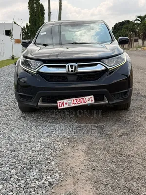 Car Rental Services