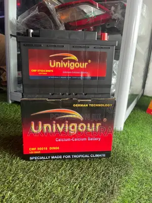 Original Univigour 15 Plate for All Cars