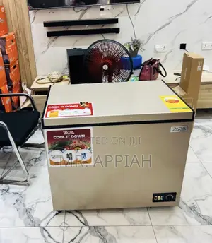 Order Zara 300 Single Door Chest Freezer(238liter) 