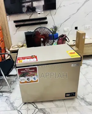 Original Zara 300 Chest Freezer(238liter)Gold 