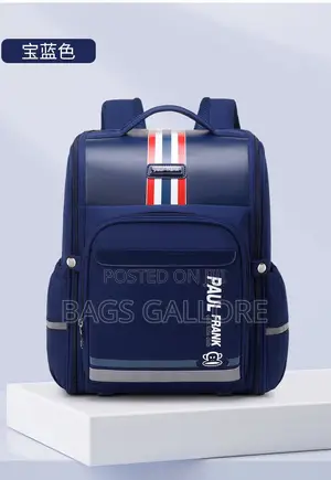 Folding Box Bag