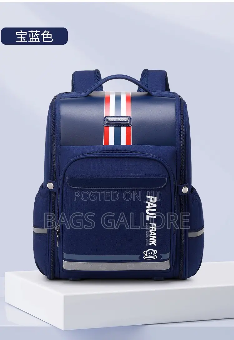 Folding Box Bag