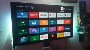 Philips 55oled