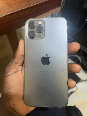 Apple iPhone 12 Pro Max 256 GB Gray