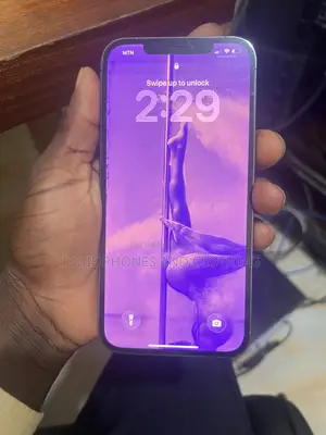 Apple iPhone 12 Pro Max 256 GB Gray