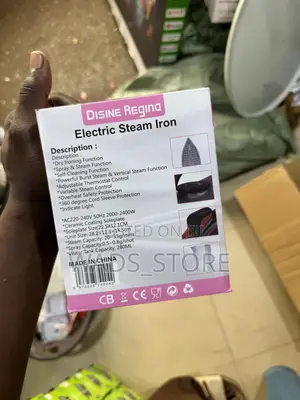 Electric Steam Iron