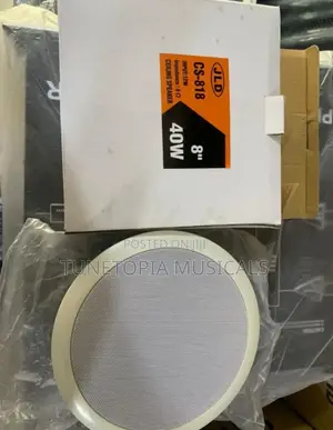 Jld Cs-818, An 8-inch Passive Ceiling Speaker