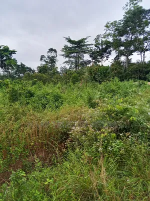 Farmland for Sale / Lease