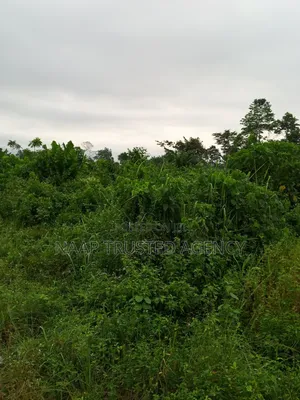 Farmland for Sale / Lease