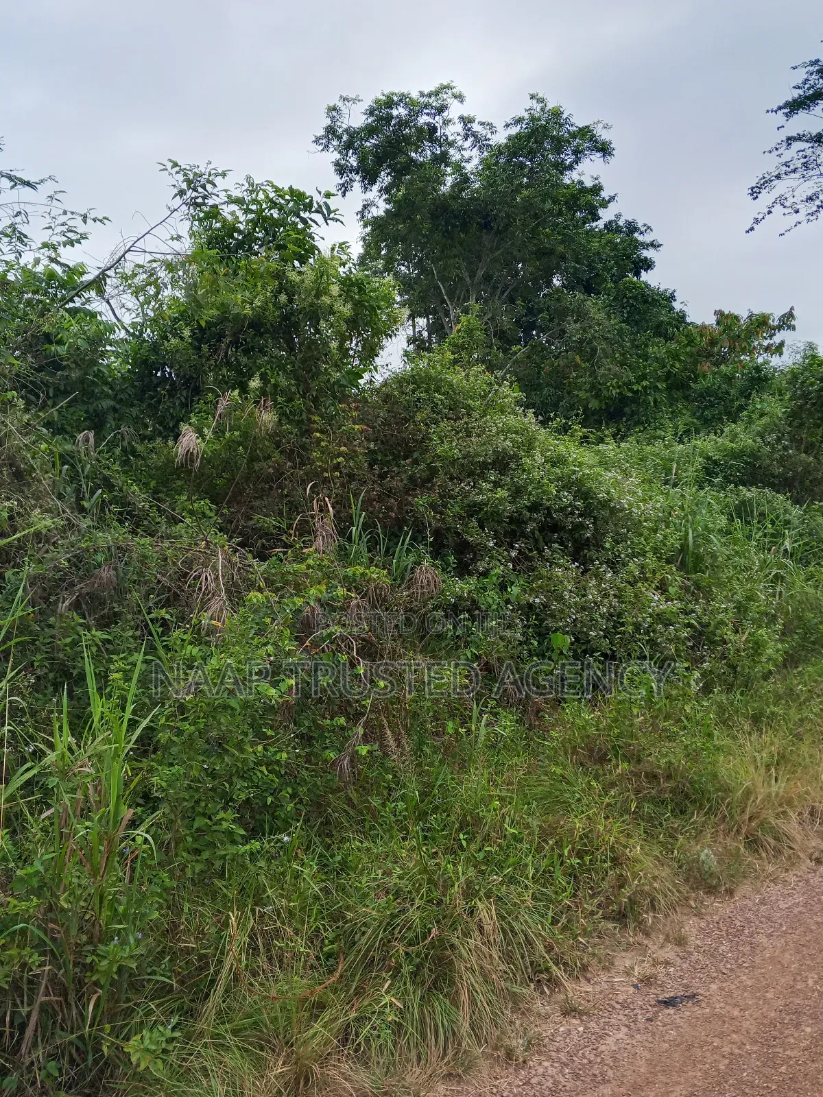 Farmland for Sale / Lease