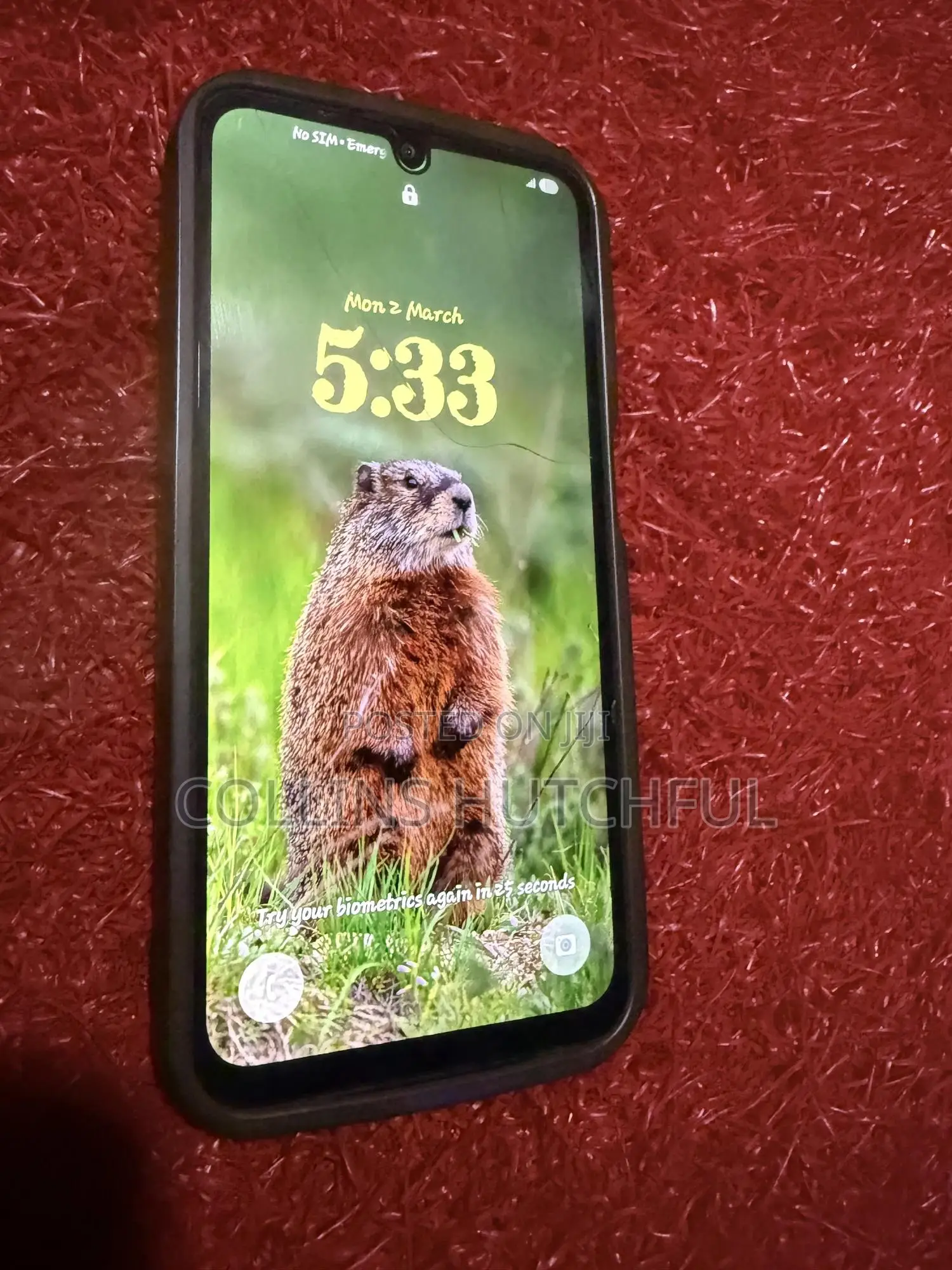 Samsung Galaxy A25 256 GB Gray