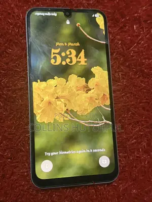 Samsung Galaxy A25 256 GB Gray