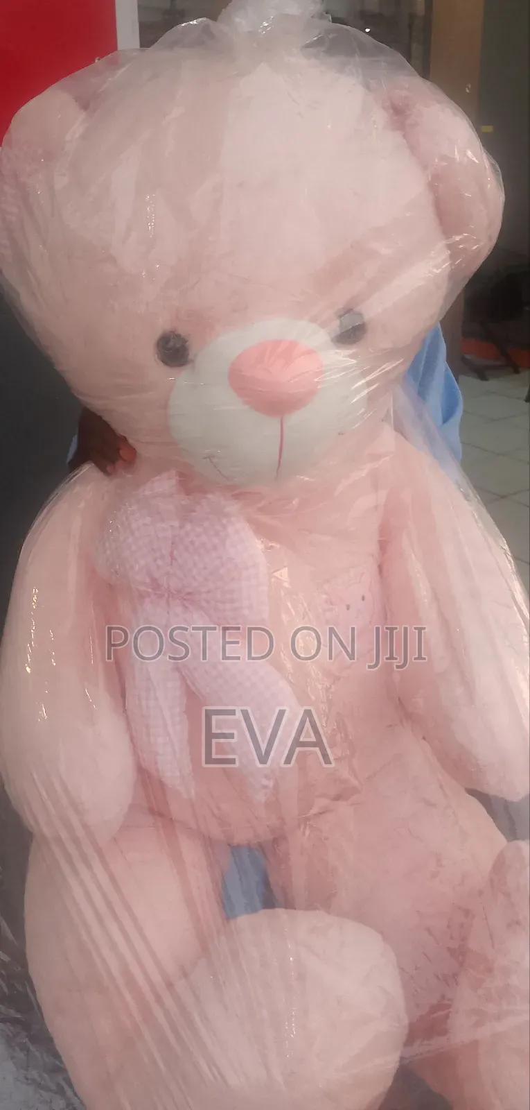 Plush Teddy Bear