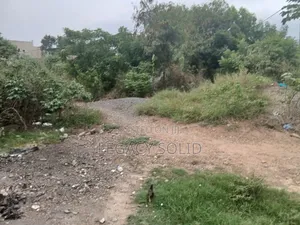 Plot of Land for Sale