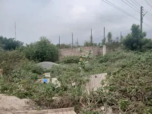 Plot of Land for Sale