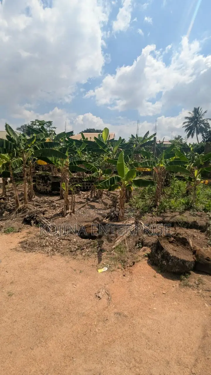Borteyman: 2 Residential Plots for Sale
