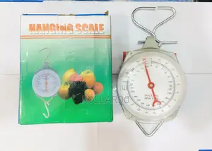 200kg Hanging Scale