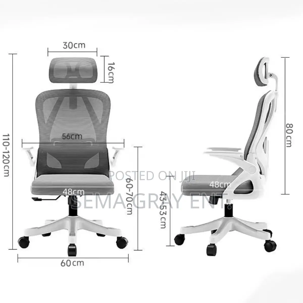 Ergonomic Computer Chair + Adjustable Backrest