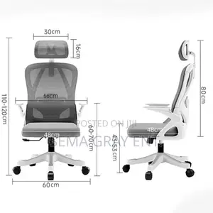 Ergonomic Computer Chair + Adjustable Backrest