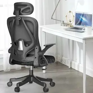 Ergonomic Computer Chair + Adjustable Backrest