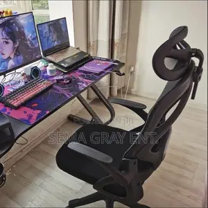 Ergonomic Computer Chair + Adjustable Backrest