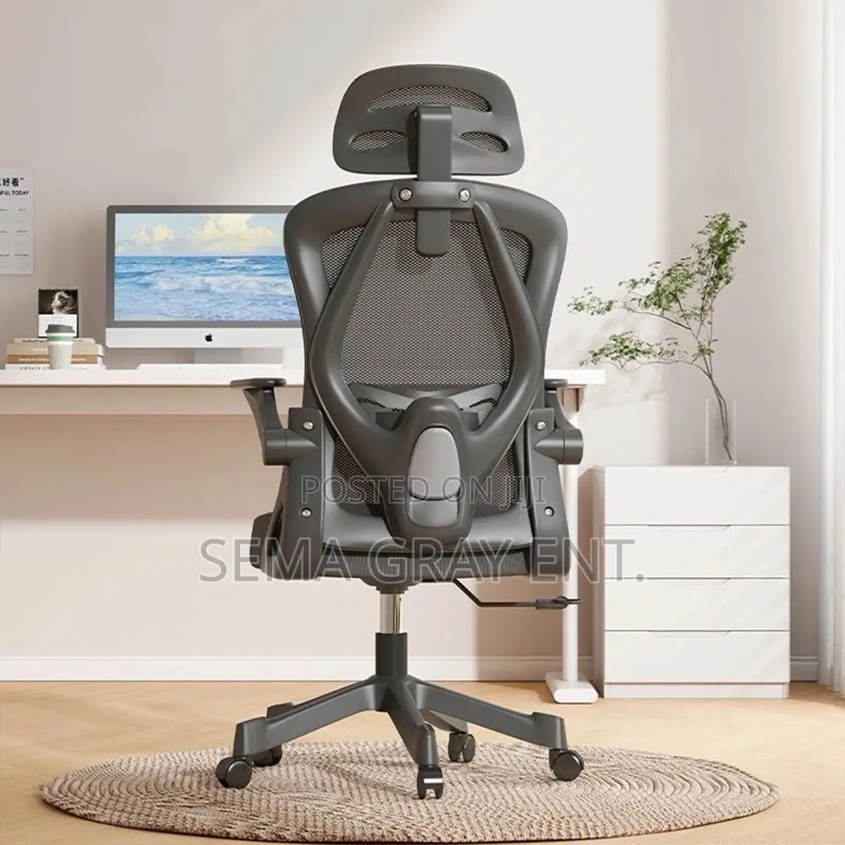 Ergonomic Computer Chair + Adjustable Backrest