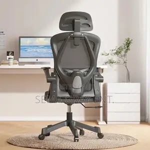 Ergonomic Computer Chair + Adjustable Backrest