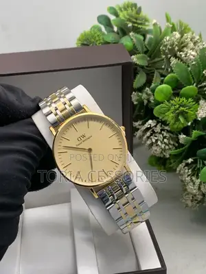Daniel Wellington Chain Watch