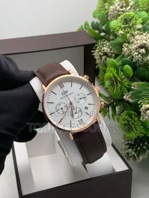 Daniel Wellington Chain Watch