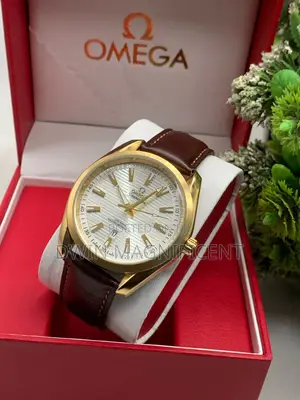 Omega Seamaster Aqua Terra 150m Co-Axial Watch